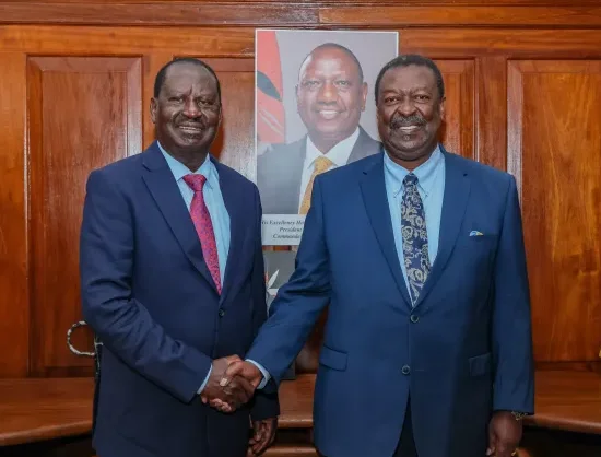 Mudavadi, Raila Outline Strategy for AU Commission Chair Bid