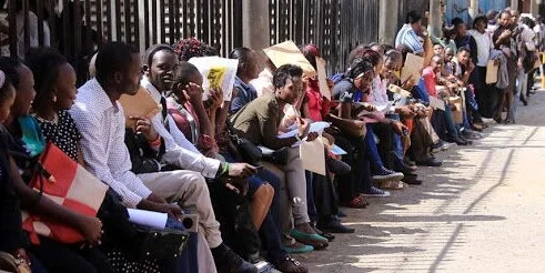 Govt Announces Over 7,500 Job Vacancies Nationwide; How to Apply